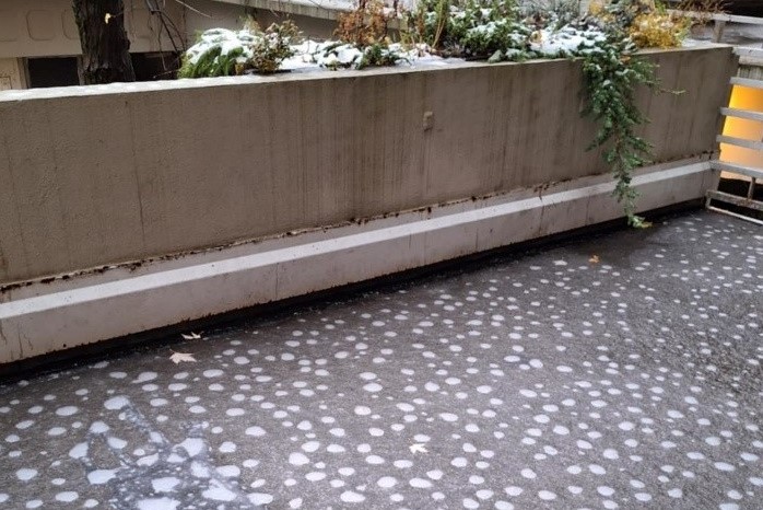 Spotted snow photograph